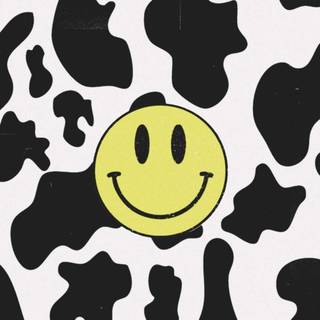cow print 