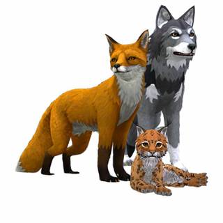 Fox,wolf,Lynx