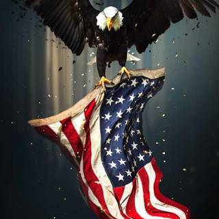 Eagle with a American flag 4K wallpaper