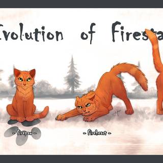 Evolution of firestar