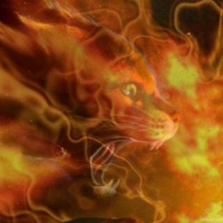 Spirit of firestar