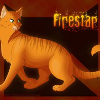 Met firestar from into the wild