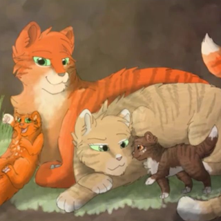 sandstorn x firestar 