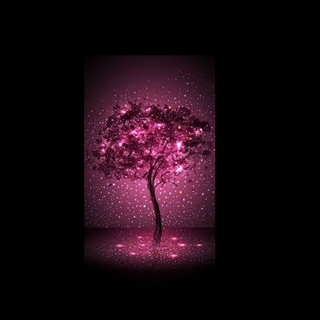 awwwwwwwwwwwwwwwwwwwww