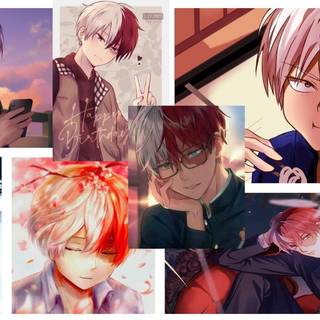 Aesthetic Shoto Todoroki