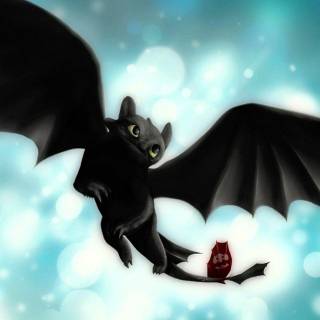 Lets Fly! (Toothless)