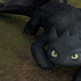 Meet Toothless