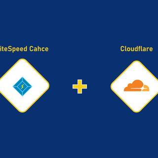 Litespeed cache and cloudflare
