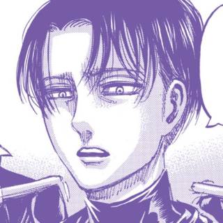 Levi Ackerman 