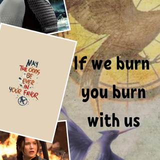 Hunger games: If we burn, you burn with us