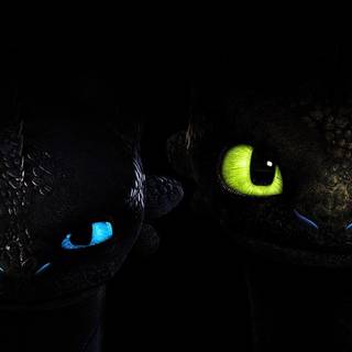 Toothless and Lightfufry? as A Nightfury