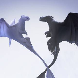 TOOTHLESS X LIGHTFURY