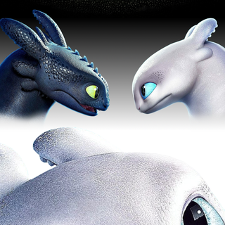 Toothless and Lightfury