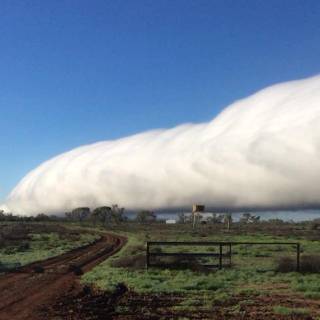 Morning Glory Cloud 