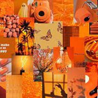 Cute Orange Collage