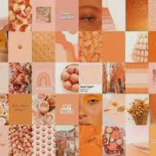 Cute Orange Collage