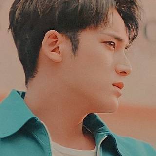 mingyu wp
