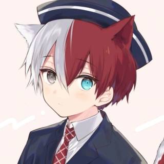 Shoto cat