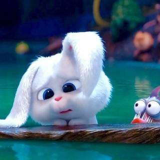 Snowball rabbit 