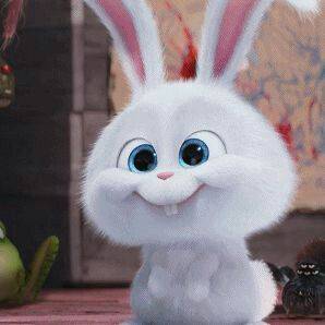 Snowball rabbit 