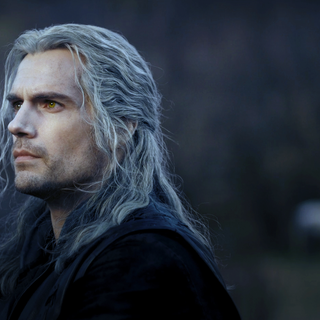 The Witcher