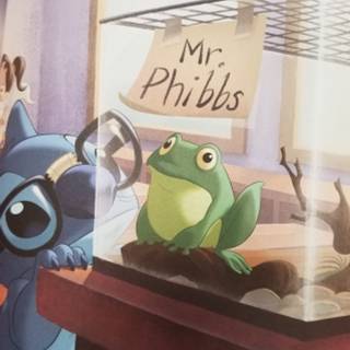 Mr. Phibbs