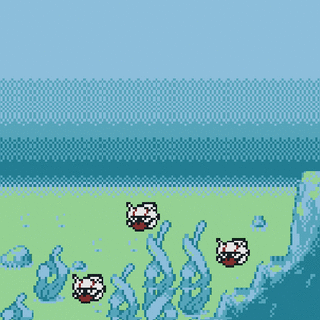 Shellder