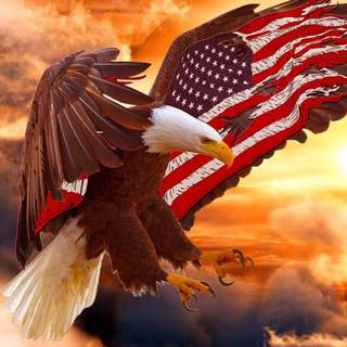  American flag eagle wallpaper