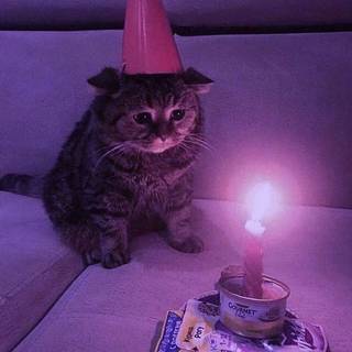 yay ! is my birthday hooray!