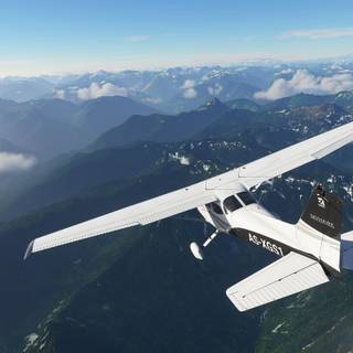 microsoft flight simulator