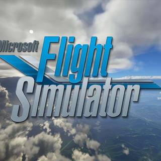 microsoft flight simulator