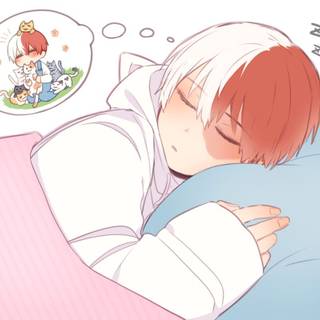 Shoto is a cat person like me