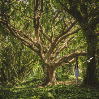 Girl in Forest