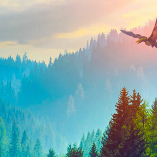 Dragon Flying in Forest
