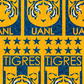 Tigres UANL Fondo de Pantalla Movil, Phone Wallpaper