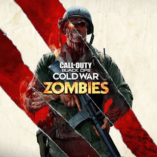 Cod cold war zombies 