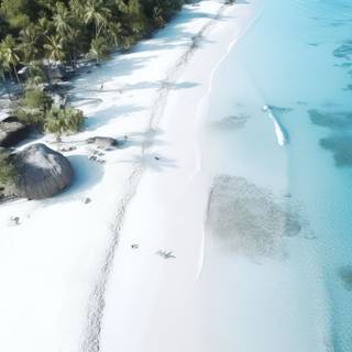 Turquoise Paradise Beach