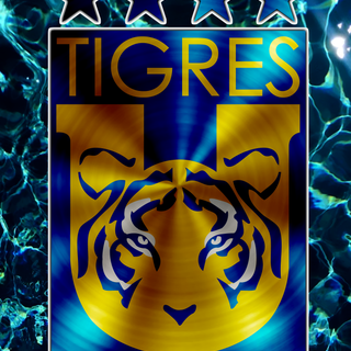 Tigres UANL Fondo de Pantalla Movil, Phone Wallpaper