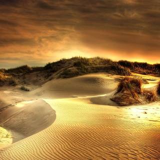 Sand, Wallepaper, 4k, HD, Cool, Fresh, Yellow