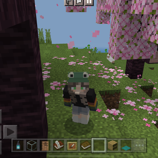 Me playing Minecraft…….