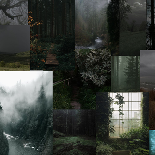 dark naturalism aesthetic