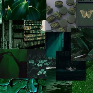 dark green aesthetic