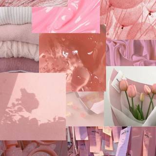 rosebud aesthetic