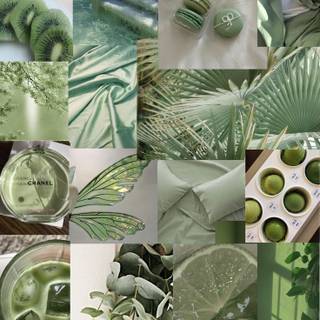 sprout green aesthetic