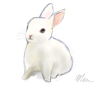 Made By Me: White Bunny