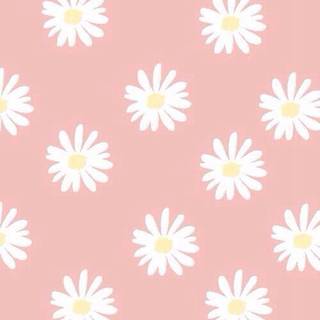 Daisy Wallpaper