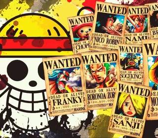 one piece wanted