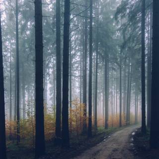 Autumn Aesthetic Wallpapers