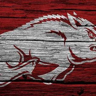 Razorback Wallpaper