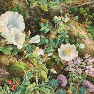 Cottagecore Nature Painting Background 